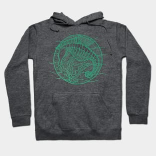 Seahorse graphic in green ink Hoodie